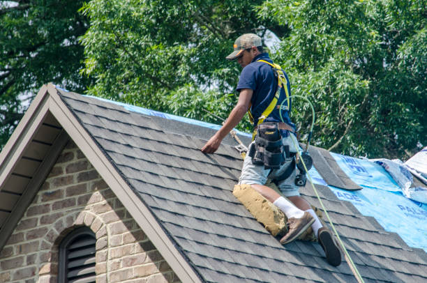 Roof Gutter Cleaning in Innovation, VA